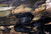Gallery image 8