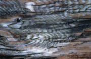 Gallery image 8